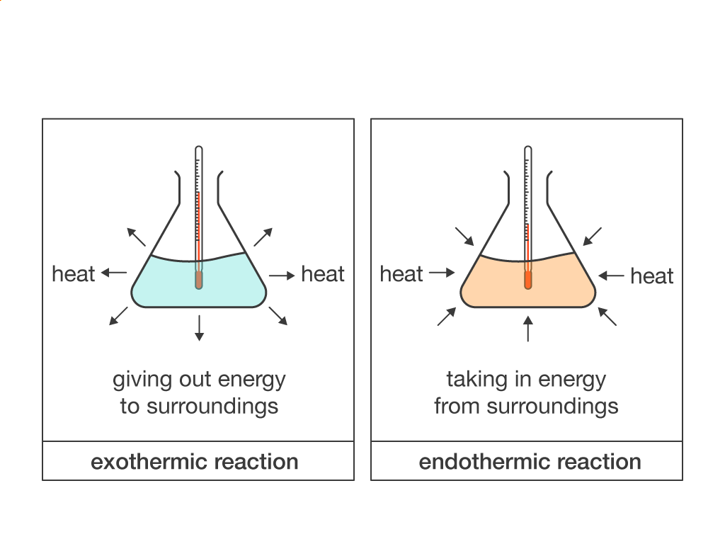 Exothermic Reaction Examples Respiration