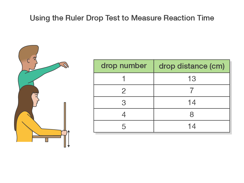 reaction time test with ruler