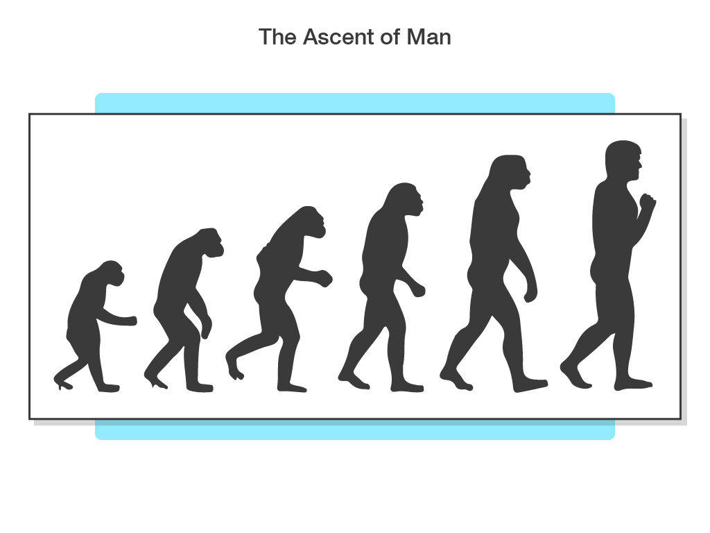 Human Evolution Ks3